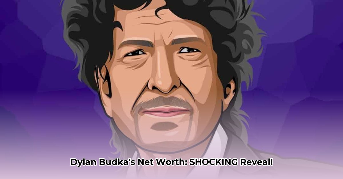 dylan-budka-net-worth